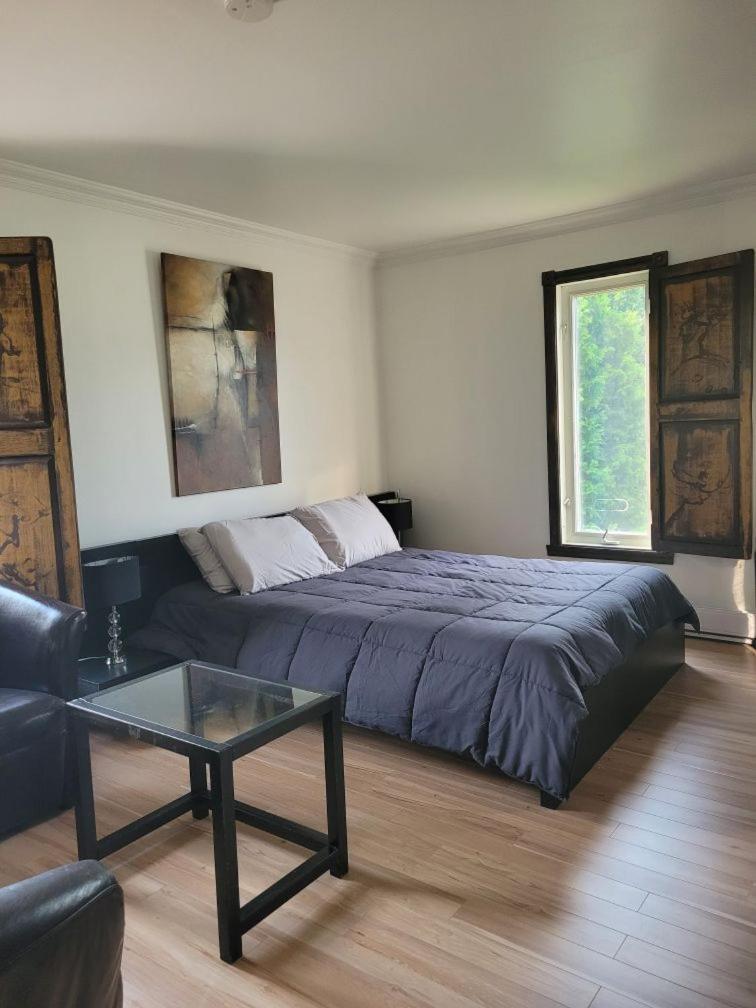Le Petit Manoir Spa Et Vue Sur Riviere St Maurice Grandes Piles Eksteriør bilde